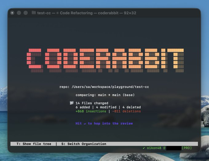 CodeRabbit CLI startup screen showing project information